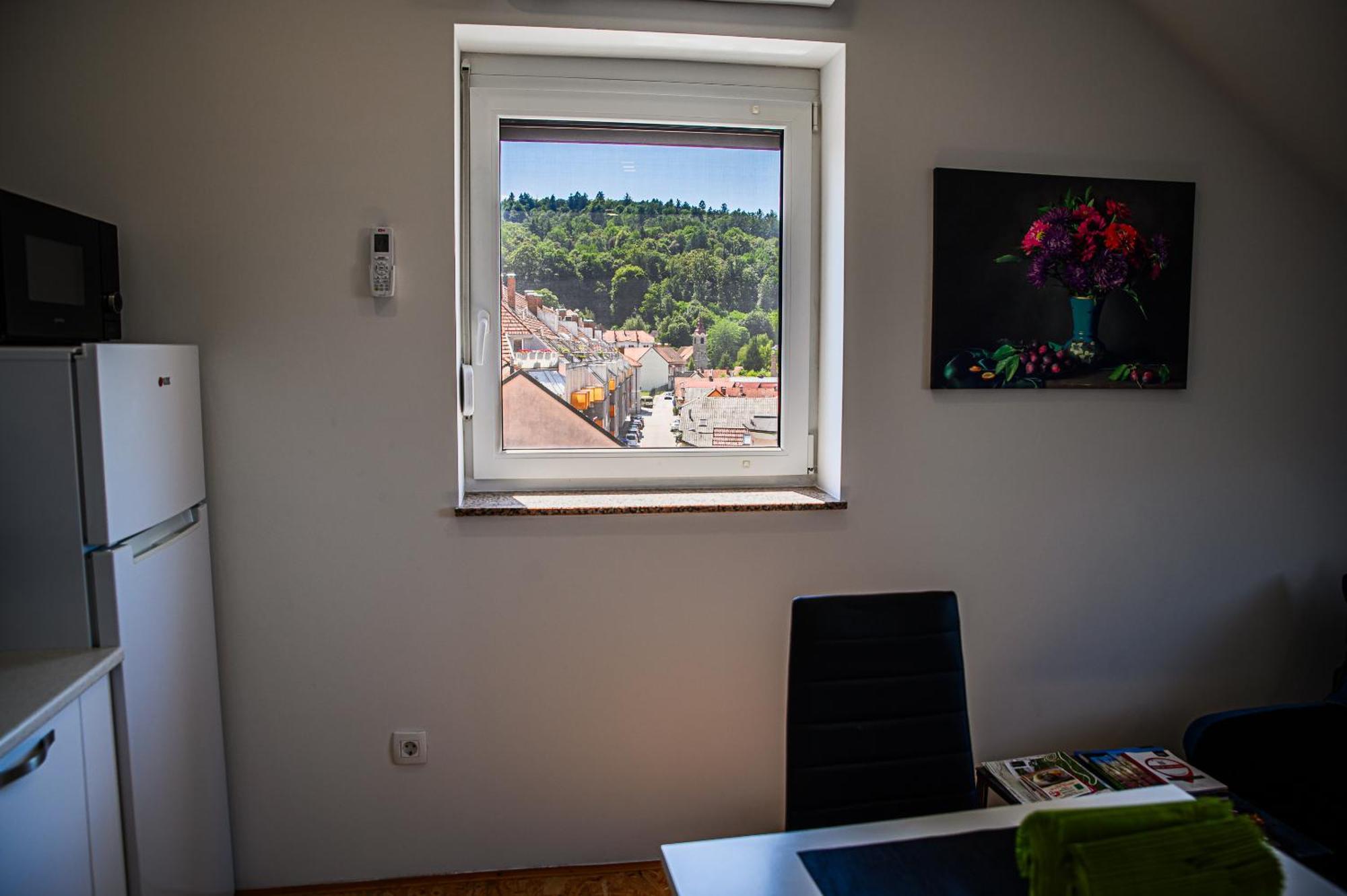 Apartment A1 リュブリャナ 部屋 写真