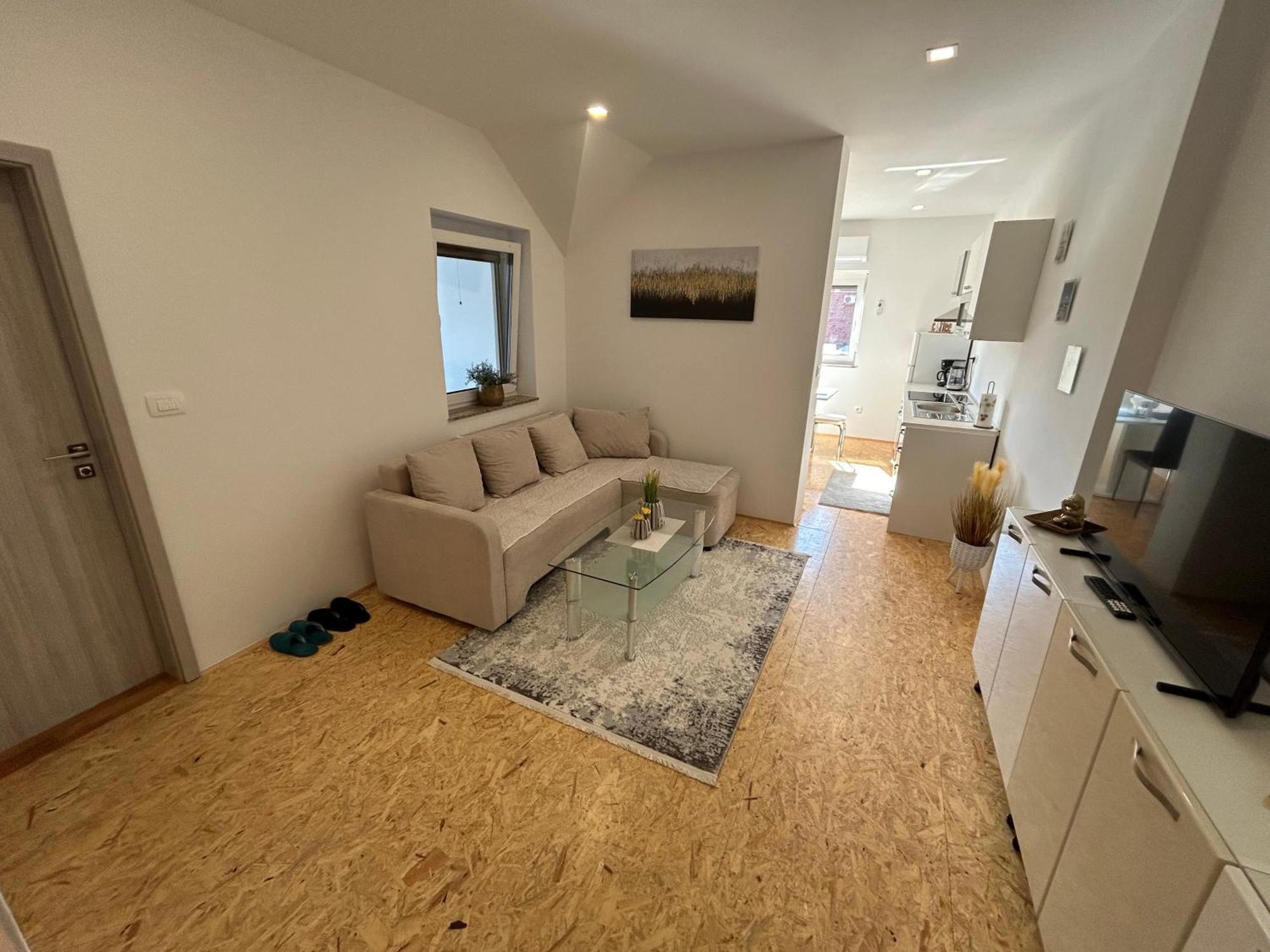 Apartment A1 リュブリャナ 部屋 写真